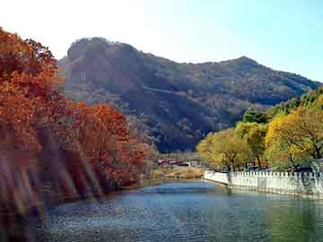 澳门二四六天天彩图库，新宝来论坛